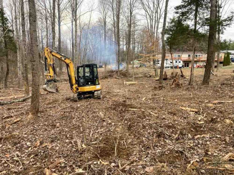 Tree removal on a land area that is to be cleared out in preparation for a construction project