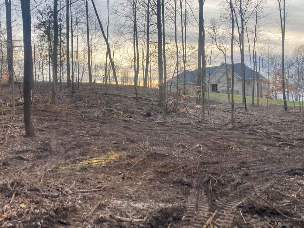 A dusky woodland scene with a home in the background, bathed in the soft glow of sunset or sunrise. The ground in the forest appears recently disturbed, likely due to land clearing activities, as evidenced by the tracks left by heavy machinery and the absence of underbrush. The trees stand bare, which could suggest that the season is either autumn or winter.