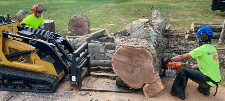 Tree removal experts cutting down a large log into pieces so they can move it out of the area