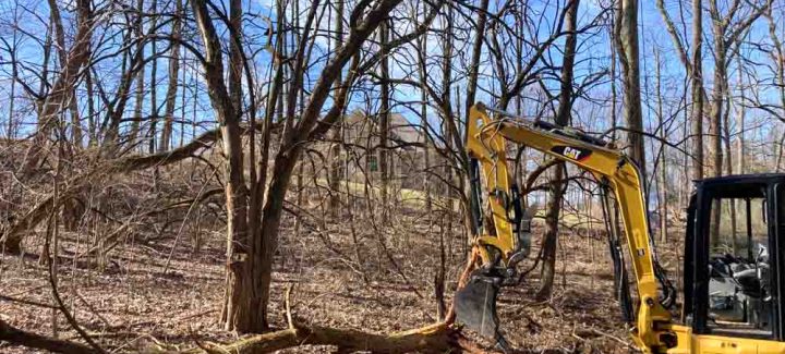 A yellow Caterpillar skid steer loader is moving logs through the woods.